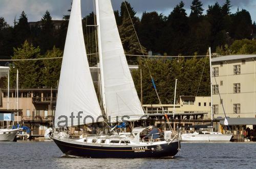 Valiant 37 Spesifikasjoner og anmeldelser
